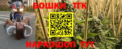 дживик Гатчина